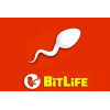 Bitlife Game