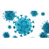 Antigen Customization